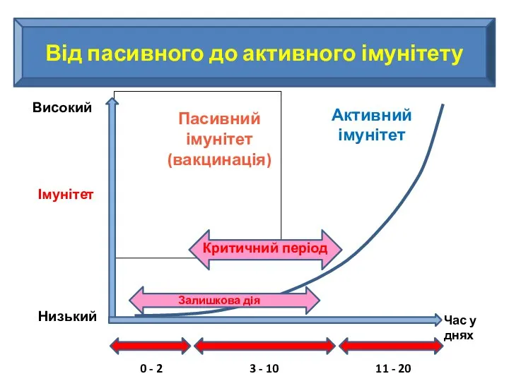 Від пасивного до активного імунітету 0 - 2 3 - 10