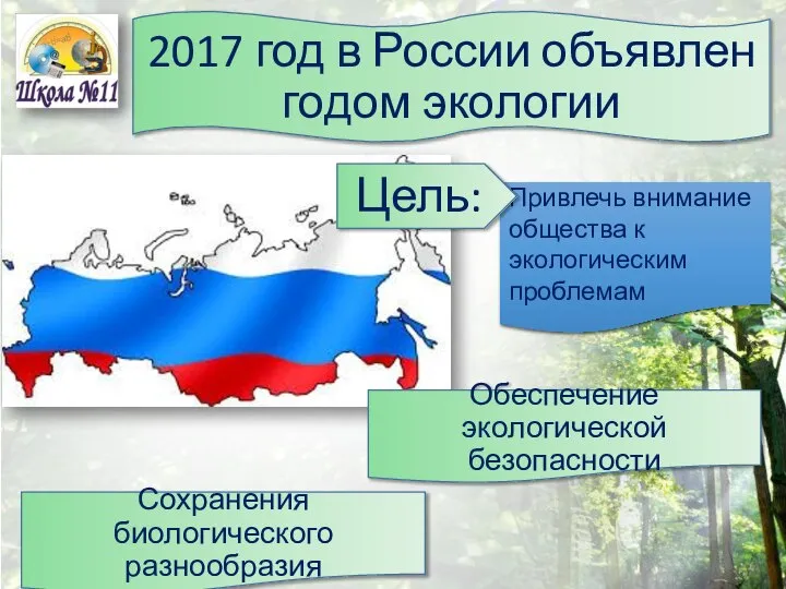 2017 год в России объявлен годом экологии Привлечь внимание общества к