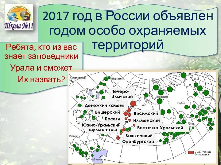 2017 год в России объявлен годом особо охраняемых территорий Ребята, кто