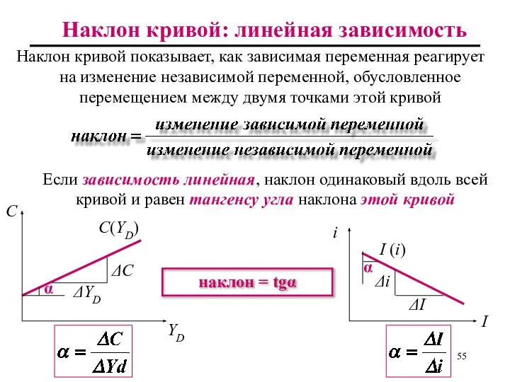 Наклон кривой: линейная зависимость Наклон кривой показывает, как зависимая переменная реагирует