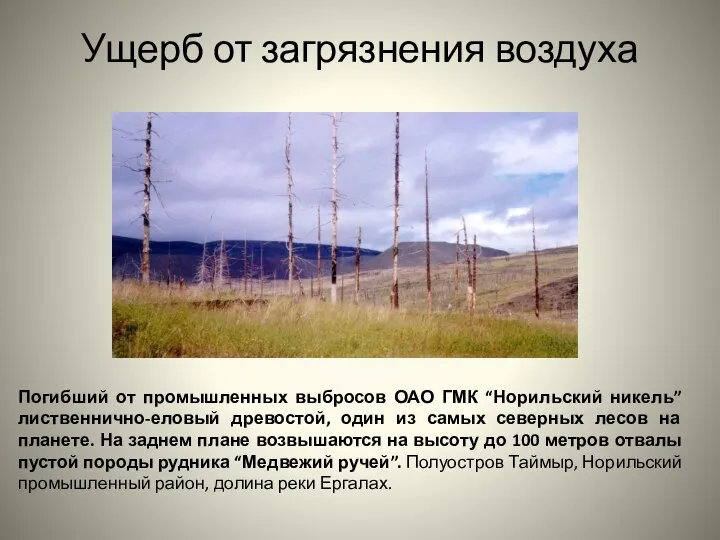 Ущерб от загрязнения воздуха Погибший от промышленных выбросов ОАО ГМК “Норильский