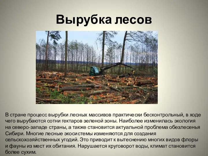 Вырубка лесов В стране процесс вырубки лесных массивов практически бесконтрольный, в