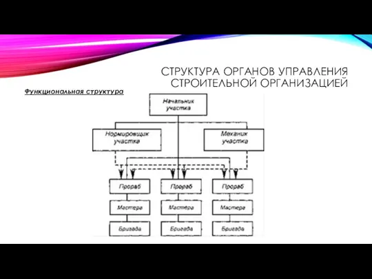 СТРУКТУРА ОРГАНОВ УПРАВЛЕНИЯ СТРОИТЕЛЬНОЙ ОРГАНИЗАЦИЕЙ Функциональная структура