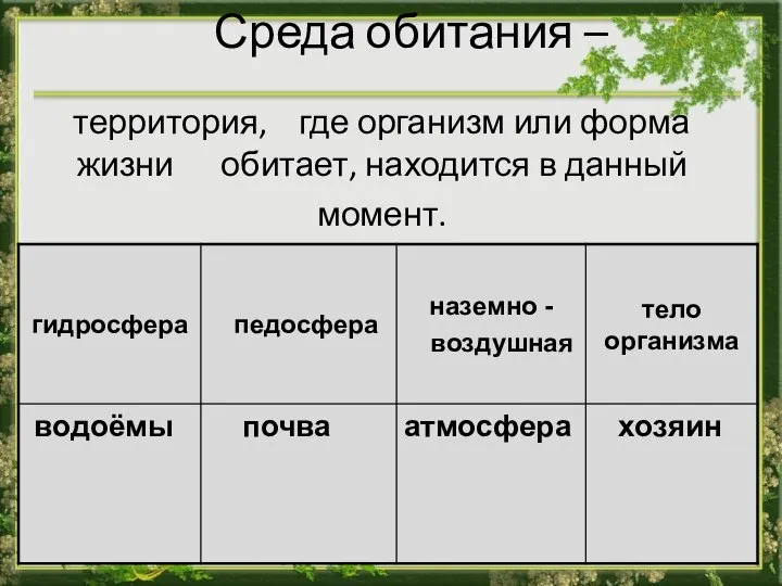 Среда обитания – территория, где организм или форма жизни обитает, находится в данный момент.