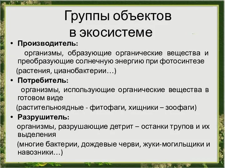 Группы объектов в экосистеме Производитель: организмы, образующие органические вещества и преобразующие