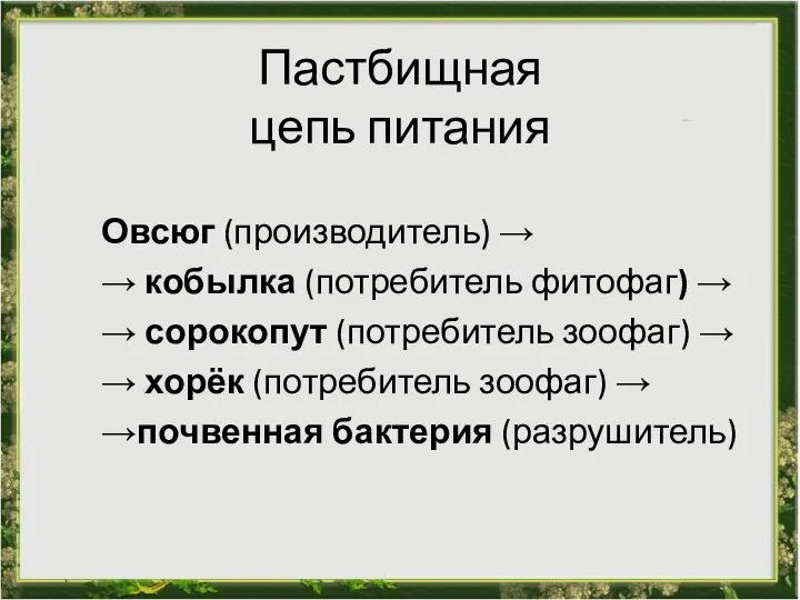 Пастбищная цепь питания Овсюг (производитель) → → кобылка (потребитель фитофаг) →