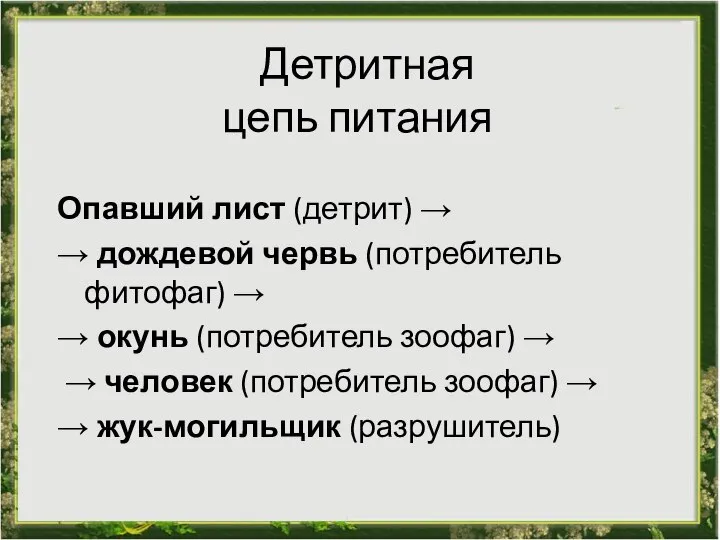 Детритная цепь питания Опавший лист (детрит) → → дождевой червь (потребитель