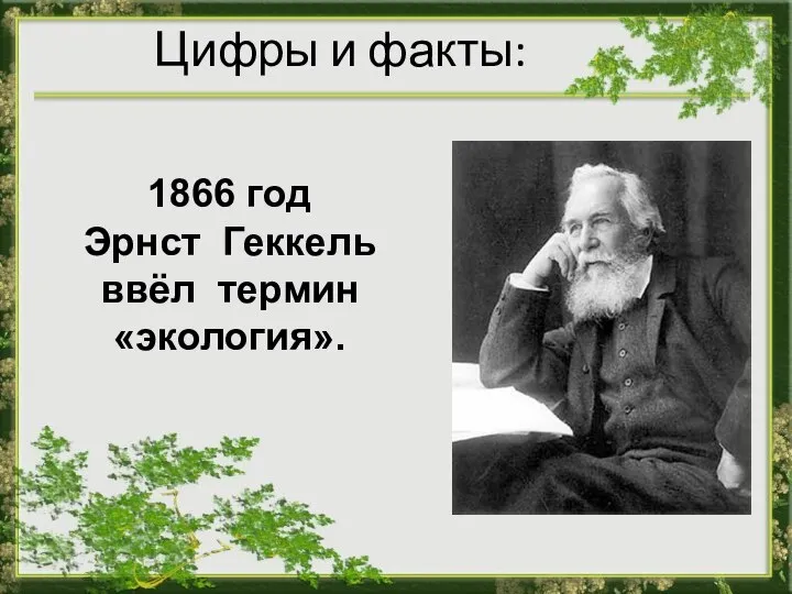 Цифры и факты: 1866 год Эрнст Геккель ввёл термин «экология».