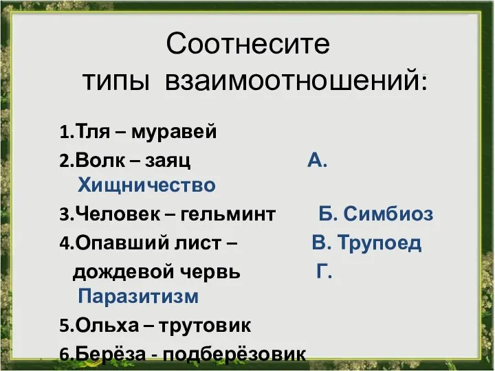 Соотнесите типы взаимоотношений: 1.Тля – муравей 2.Волк – заяц А. Хищничество