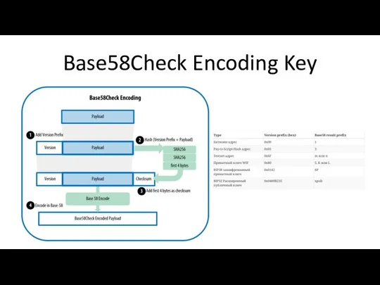 Base58Check Encoding Key