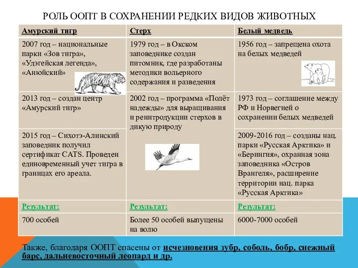 РОЛЬ ООПТ В СОХРАНЕНИИ РЕДКИХ ВИДОВ ЖИВОТНЫХ Также, благодаря ООПТ спасены