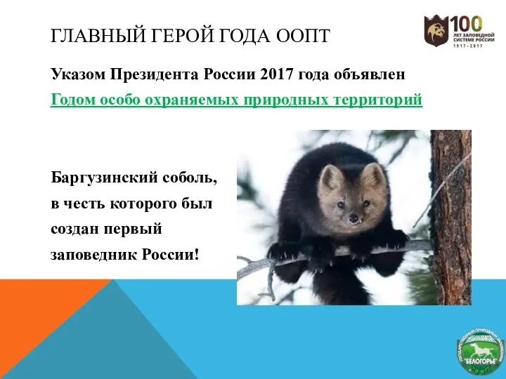 ГЛАВНЫЙ ГЕРОЙ ГОДА ООПТ Указом Президента России 2017 года объявлен Годом