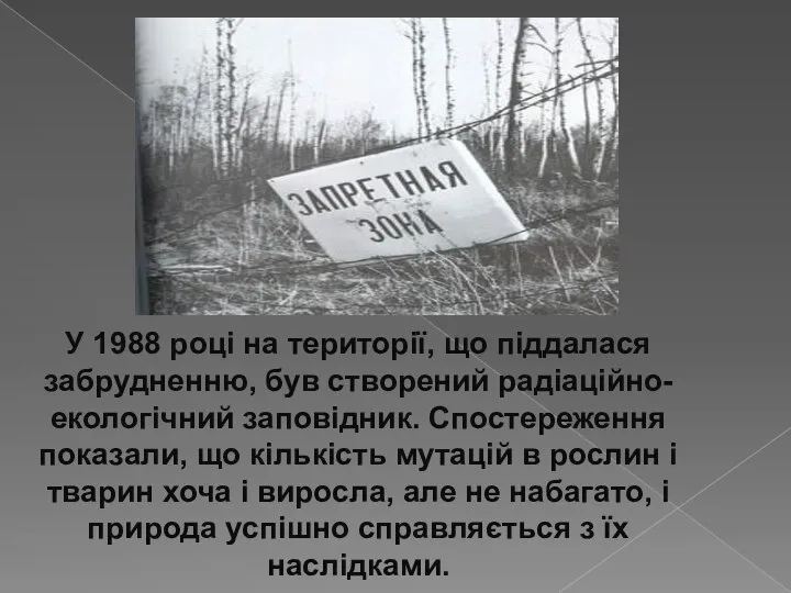 У 1988 році на території, що піддалася забрудненню, був створений радіаційно-екологічний