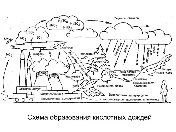 Схема образования кислотных дождей