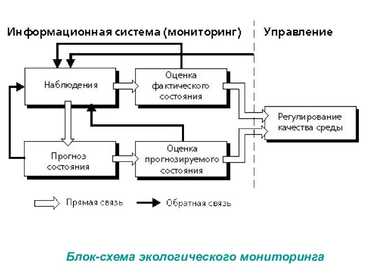 Блок-схема экологического мониторинга