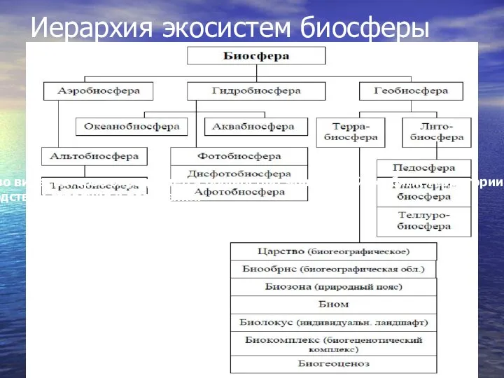 Иерархия экосистем биосферы Популяция - это некоторое единство вида, которое определяется