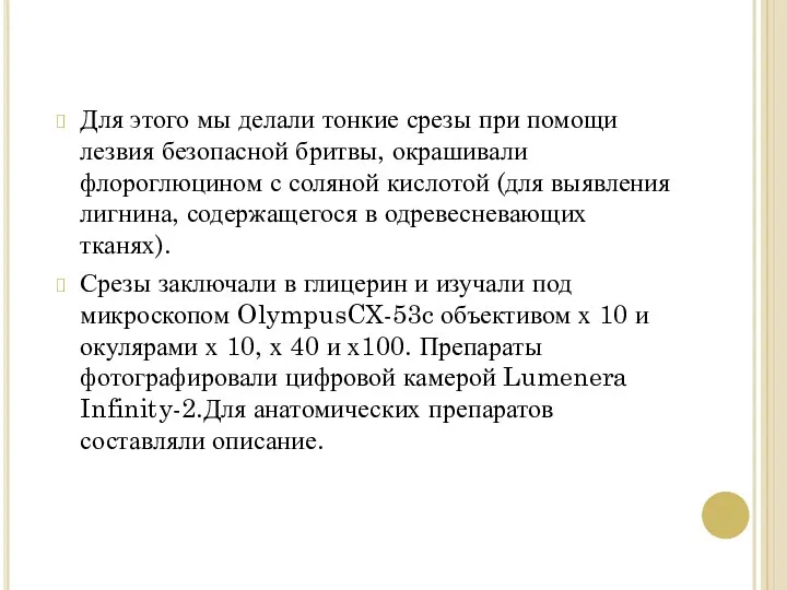 Для этого мы делали тонкие срезы при помощи лезвия безопасной бритвы,