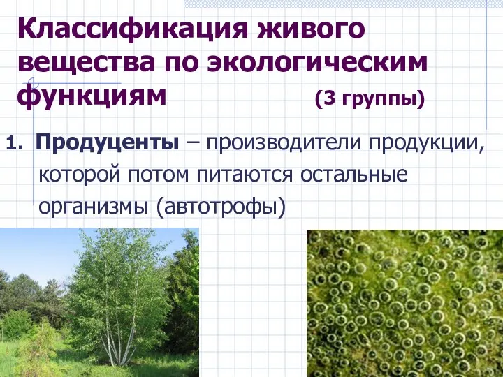 Классификация живого вещества по экологическим функциям (3 группы) 1. Продуценты –