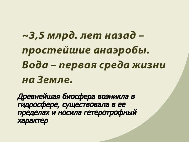 Древнейшая биосфера возникла в гидросфере, существовала в ее пределах и носила гетеротрофный характер