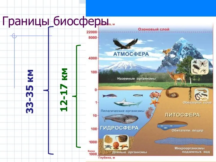 33-35 км Границы биосферы 12-17 км