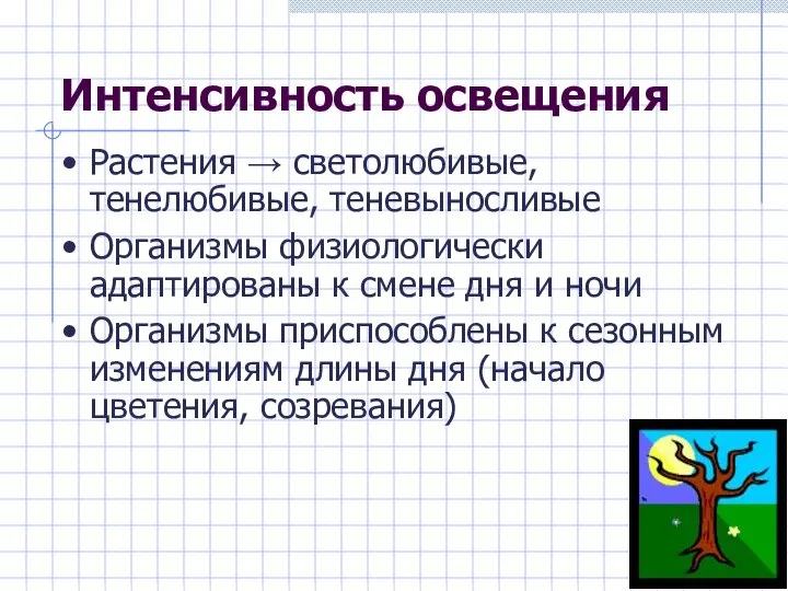 Интенсивность освещения Растения → светолюбивые, тенелюбивые, теневыносливые Организмы физиологически адаптированы к