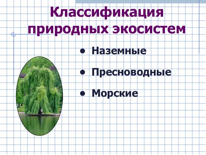 Классификация природных экосистем Наземные Пресноводные Морские