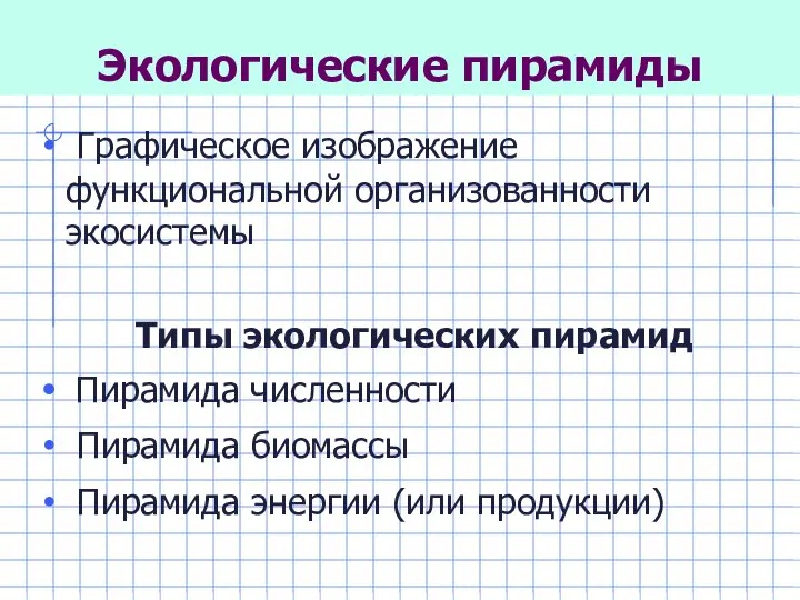 Экологические пирамиды Графическое изображение функциональной организованности экосистемы Типы экологических пирамид Пирамида