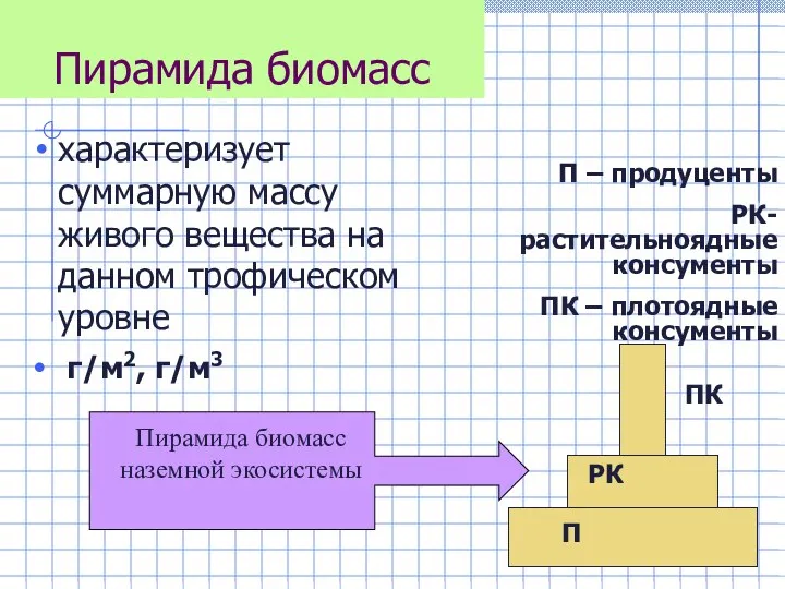 Пирамида биомасс характеризует суммарную массу живого вещества на данном трофическом уровне