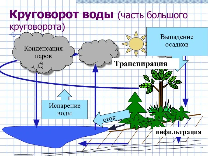 Круговорот воды (часть большого круговорота) Транспирация инфильтрация