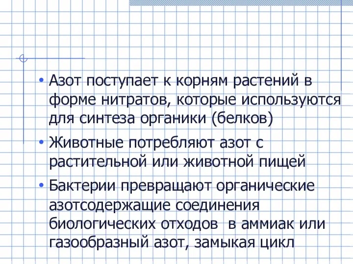 Азот поступает к корням растений в форме нитратов, которые используются для