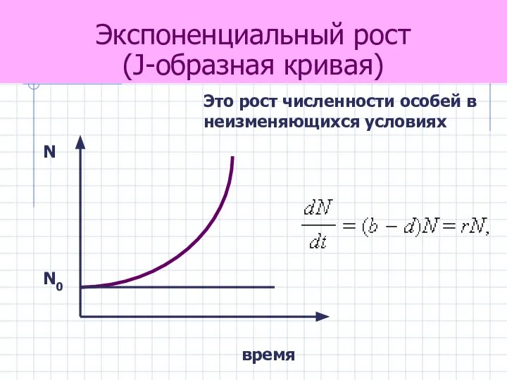 Экспоненциальный рост (J-образная кривая) Это рост численности особей в неизменяющихся условиях