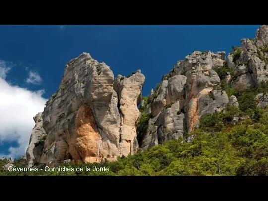 Cévennes - Corniches de la Jonte