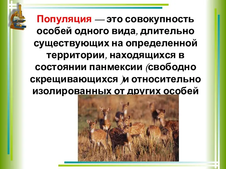 Популяция — это совокупность особей одного вида, длительно существующих на определенной