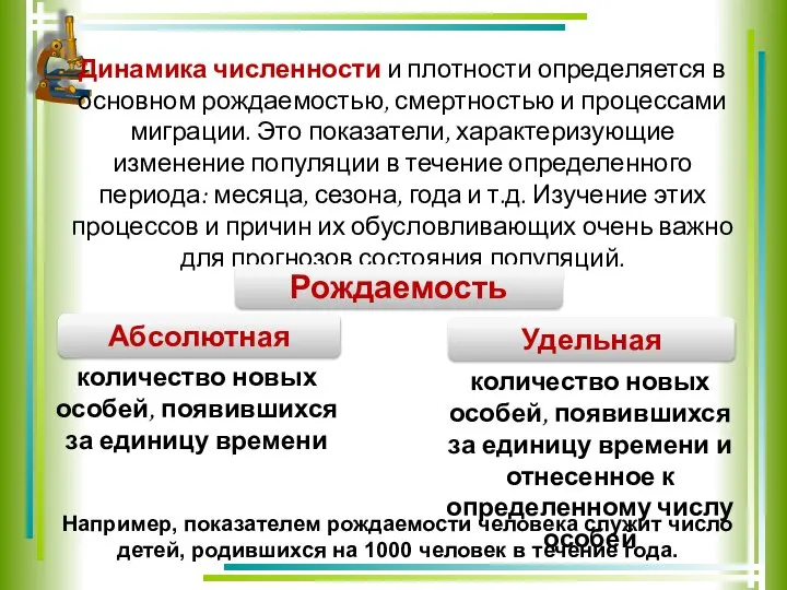 Динамика численности и плотности определяется в основном рождаемостью, смертностью и процессами