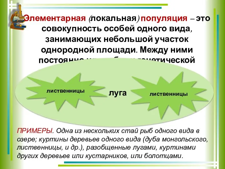 Элементарная (локальная) популяция – это совокупность особей одного вида, занимающих небольшой