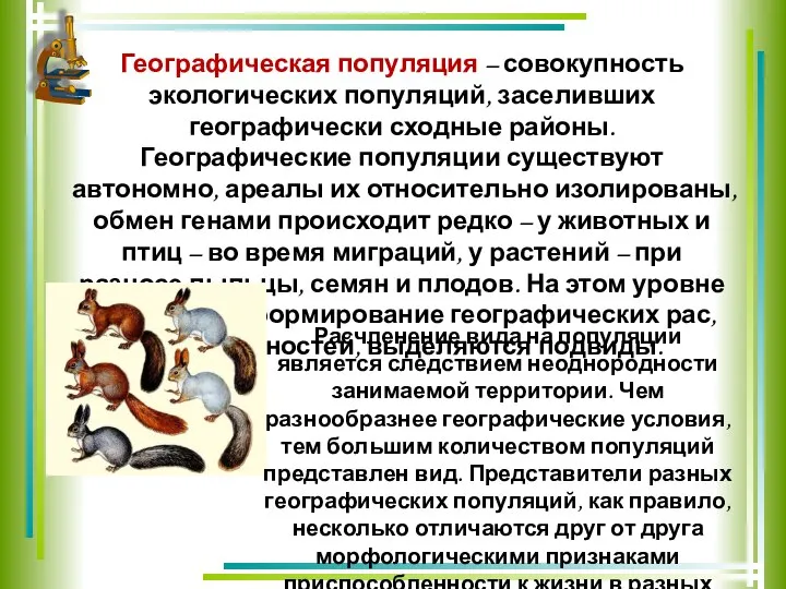 Географическая популяция – совокупность экологических популяций, заселивших географически сходные районы. Географические