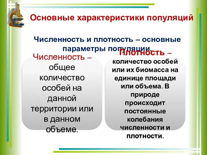 Основные характеристики популяций Численность и плотность – основные параметры популяции. Численность