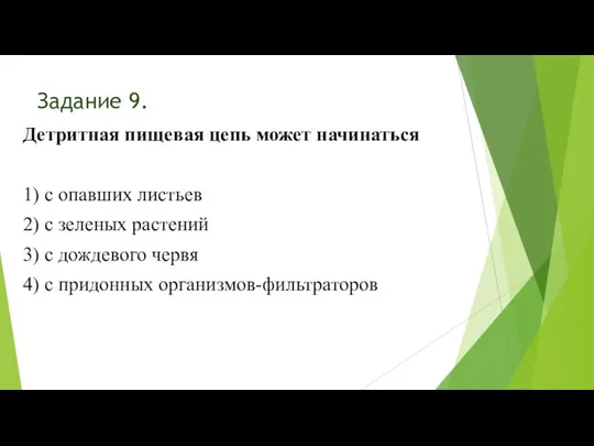 Задание 9. Детритная пищевая цепь может начинаться 1) с опавших листьев