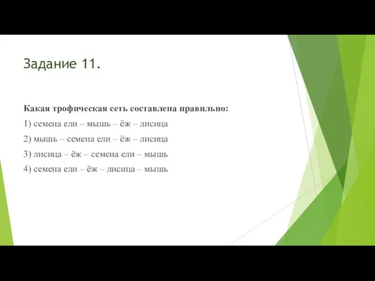 Задание 11. Какая трофическая сеть составлена правильно: 1) семена ели –