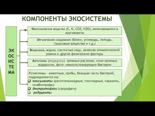 КОМПОНЕНТЫ ЭКОСИСТЕМЫ ЭКОСИСТЕМА Неорганические вещества (С, N, CO2, H2O), включающиеся в