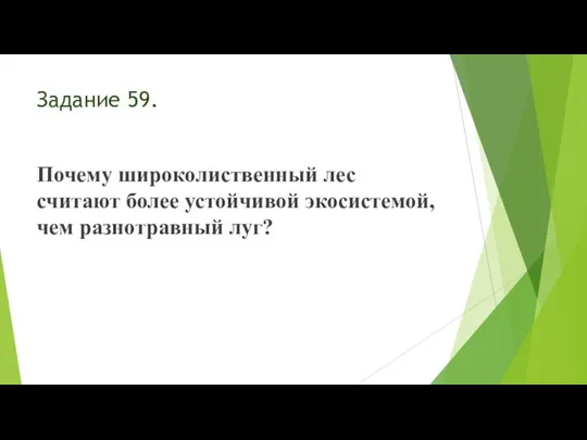 Задание 59. Почему широколиственный лес считают более устойчивой экосистемой, чем разнотравный луг?