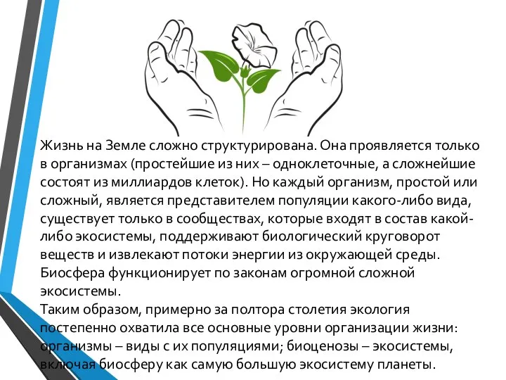 Жизнь на Земле сложно структурирована. Она проявляется только в организмах (простейшие