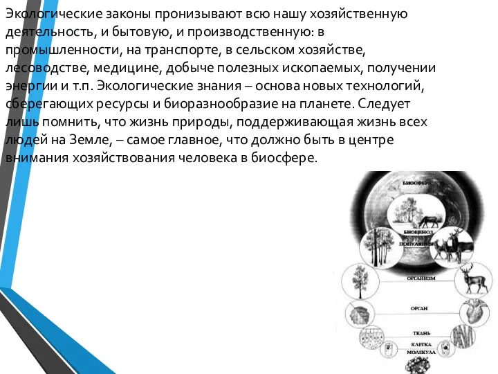 Экологические законы пронизывают всю нашу хозяйственную деятельность, и бытовую, и производственную: