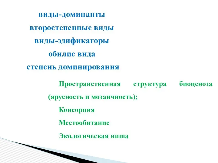 виды-доминанты второстепенные виды виды-эдификаторы обилие вида степень доминирования Пространственная структура биоценоза