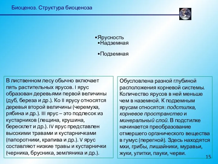 Биоценоз. Структура биоценоза Ярусность Надземная Подземная В лиственном лесу обычно включает