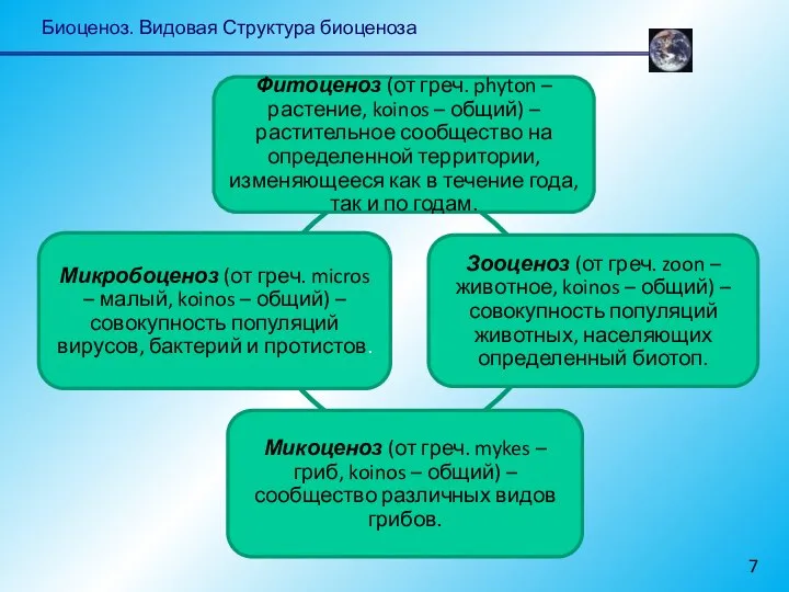 Биоценоз. Видовая Структура биоценоза