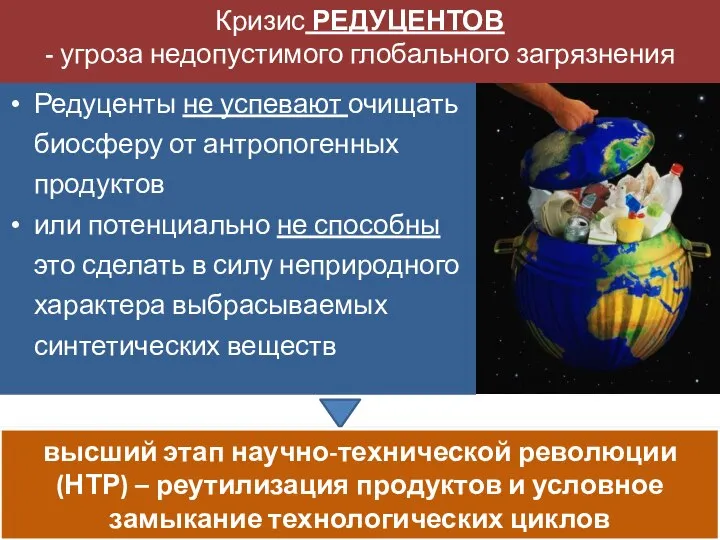 Редуценты не успевают очищать биосферу от антропогенных продуктов или потенциально не