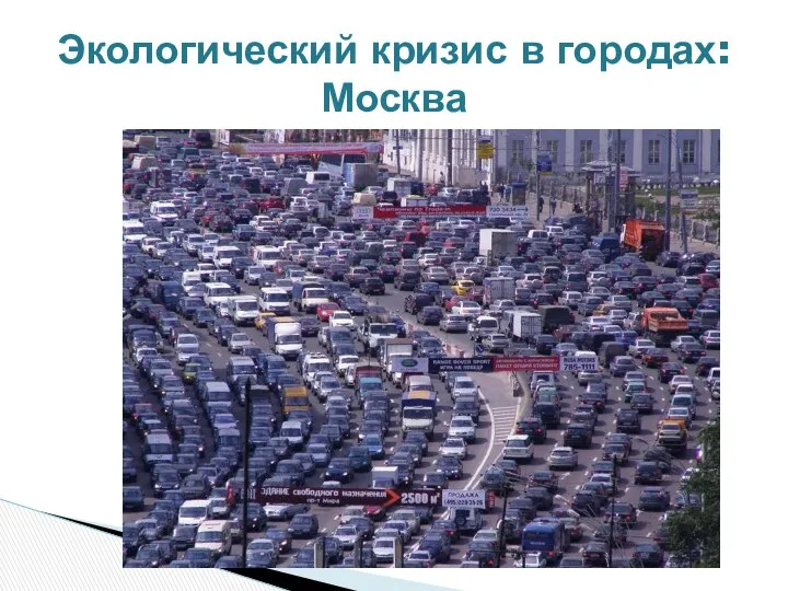 Экологический кризис в городах: Москва