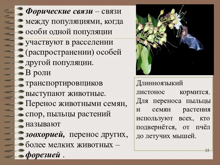 Форические связи – связи между популяциями, когда особи одной популяции участвуют