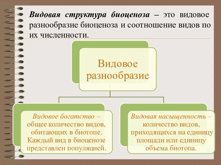 Видовая структура биоценоза – это видовое разнообразие биоценоза и соотношение видов по их численности.